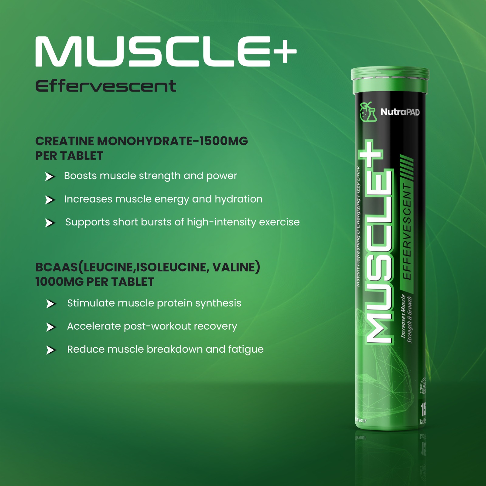 Muscle + - Image 5