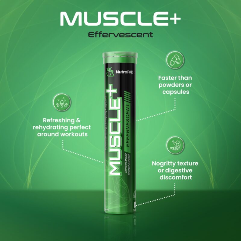 Muscle + - Image 4